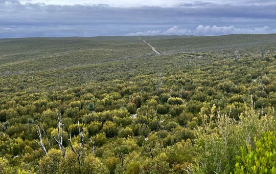 Flinders Chase Oct22